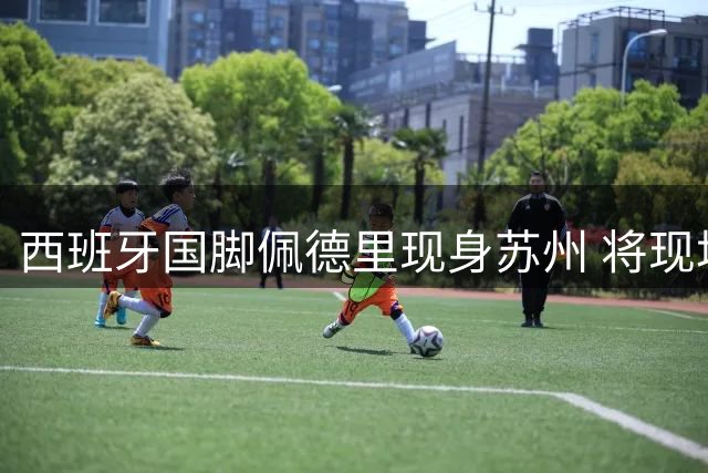 西班牙国脚佩德里现身苏州 将现场助阵苏超焦点战
